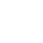 Shanghai Software Development induction